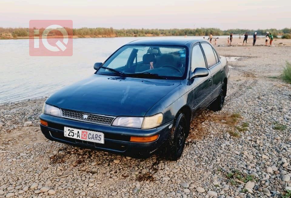 تويوتا كورولا